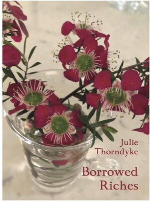 cover image of Borrowed Riches